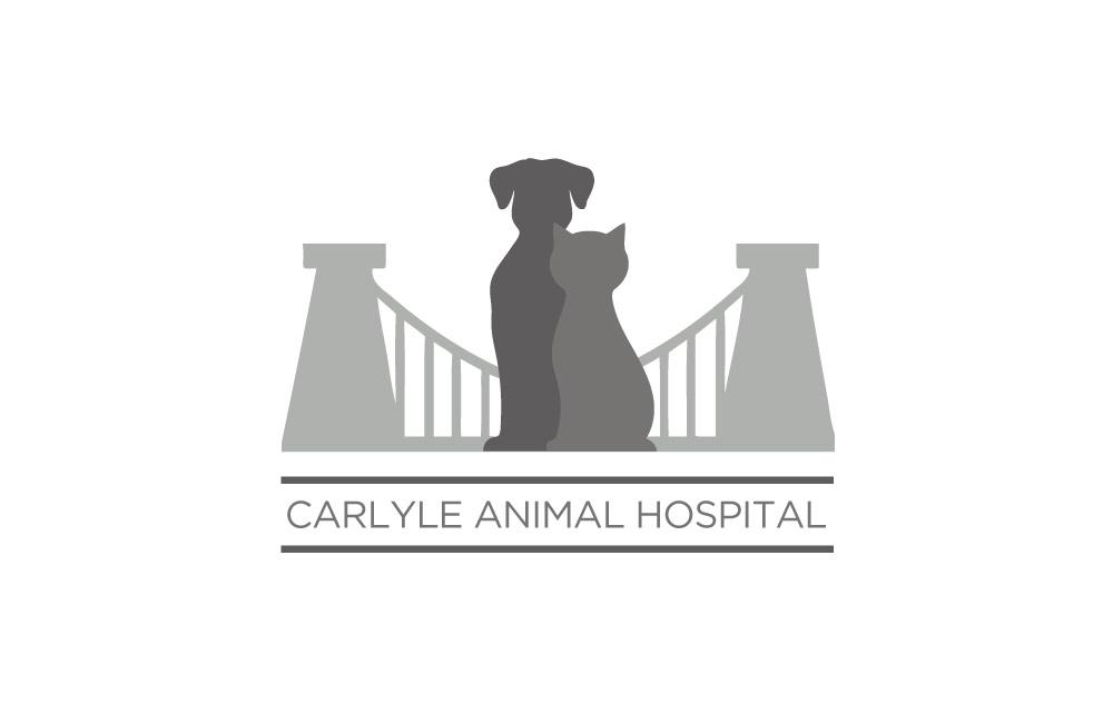 Carlyle Animal Hospital - Logo Design