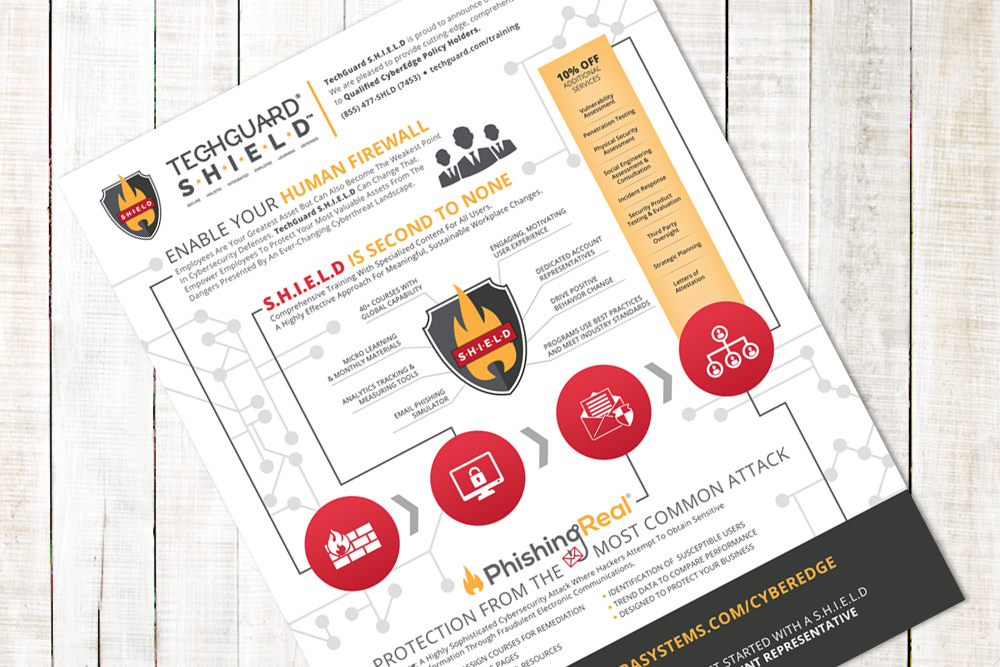 TechGuard Security - Infographic Design